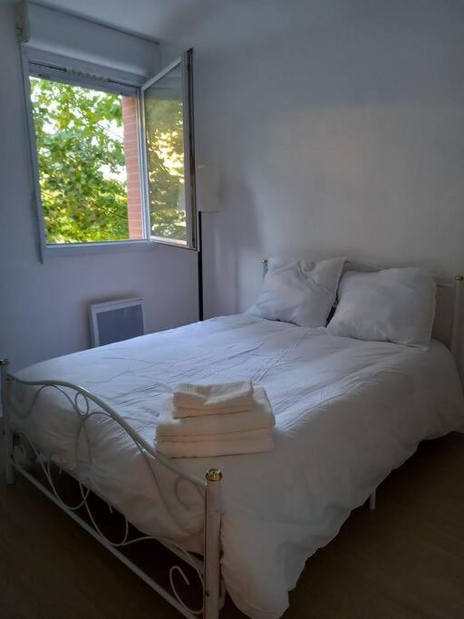 Appartement Cosy Cugnaux Buitenkant foto
